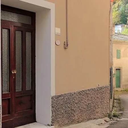 Classic Design * ליצאנו אין בלוודרה